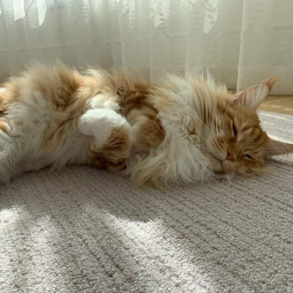 Namaste - Picture 12 of 16